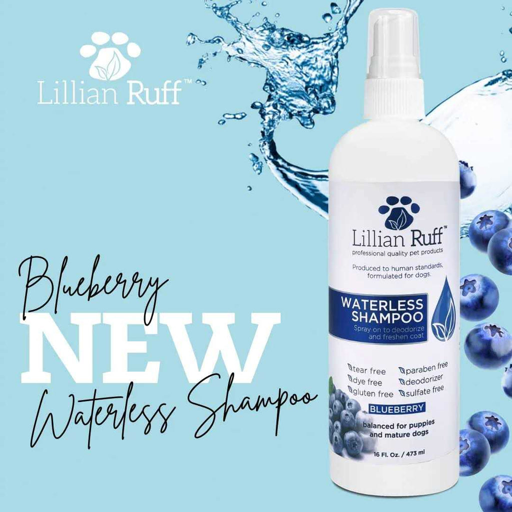 Berry Blue Brightening Face and Body Wash for Dogs and Cats O839